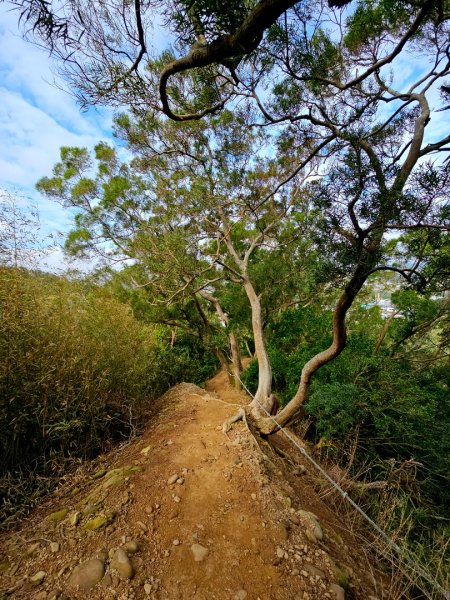 文山步道 - 新竹縣新埔鎮2676824