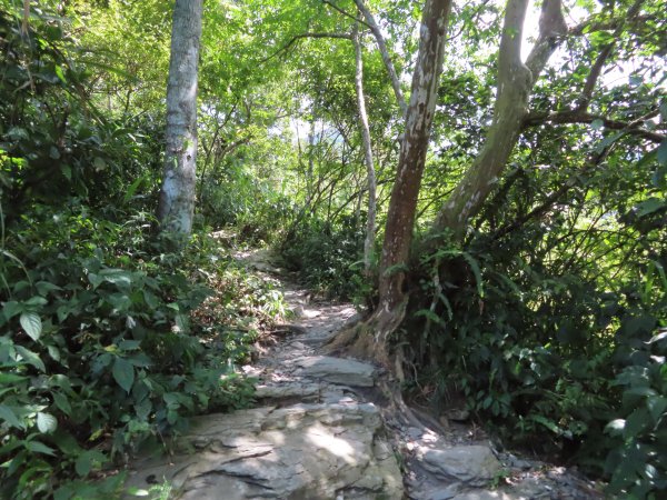 初探日湯真山1005977