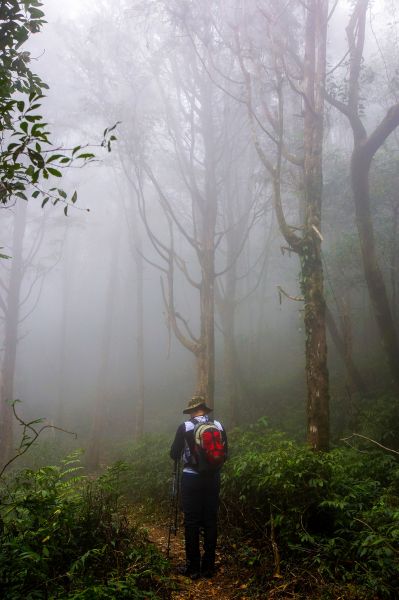 日湯真山334347