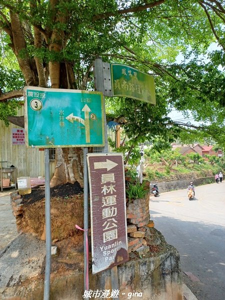 【彰化員林】員林百果山上最具人氣的休閒步道。 台灣百大必訪步道。 藤山步道1689456