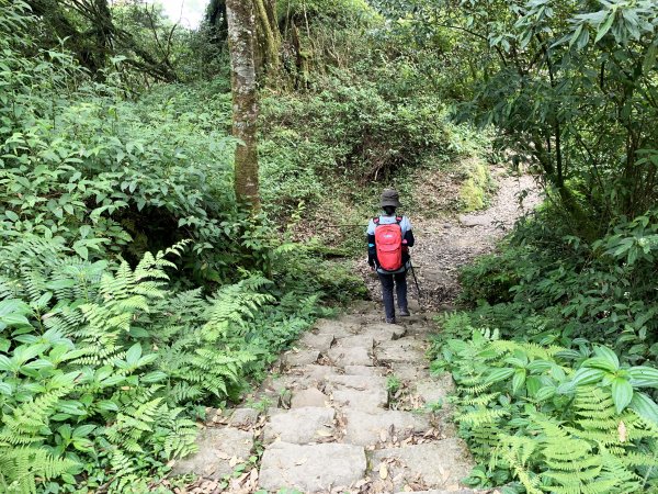 納涼去～頂湖上大凍山 20190622621401