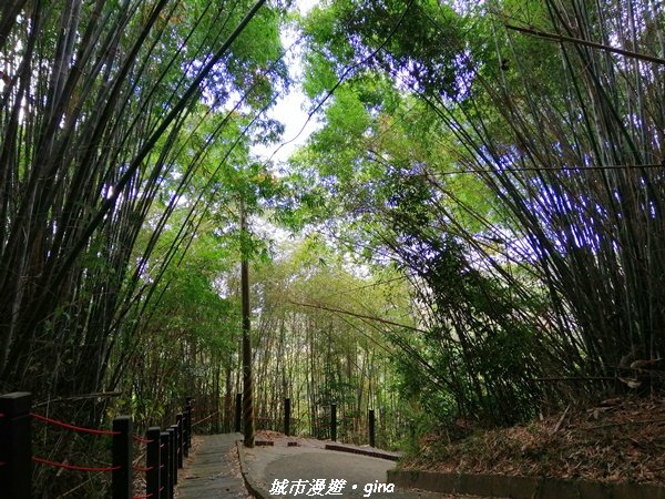 【台中。東勢】鄉村風情。 小中嵙登山步道