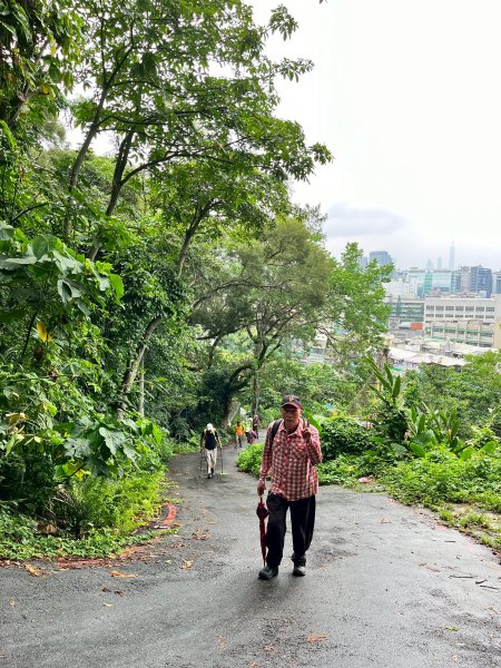 小金面山→西湖山→論劍山→剪刀石山→金面山步道2796801
