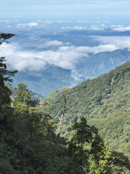 船型山林道賞雲海、烏石坑山、2432峰 山景海景一次到位2929290