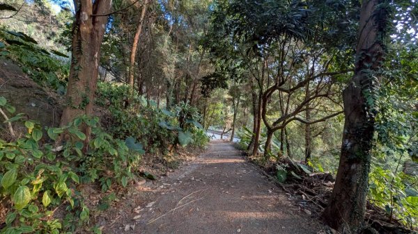 竹仔尖山步道3002503