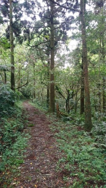 淡蘭古道南路（湖底嶺、四堵古道、溪畔古道）1433987