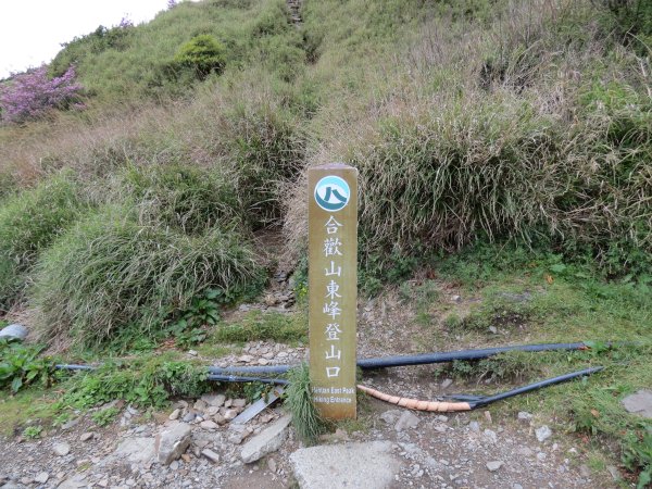 合歡山東峰-尖山-小奇萊-石門山2513024