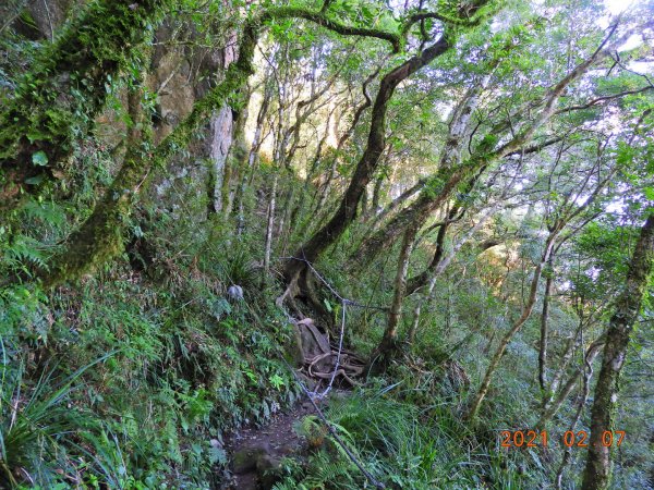 臺東 東河 都蘭山1262053