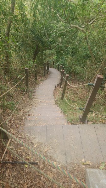 2025-0208聚興山小百岳2710907