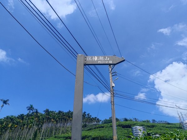 華山4-2號步道上雲嘉連峰2579358