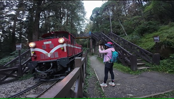 阿里山眠月線2972770