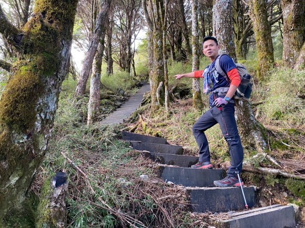 未完成的關山+庫哈諾辛山【山永遠都在 但冰封的山林不常在】2429400