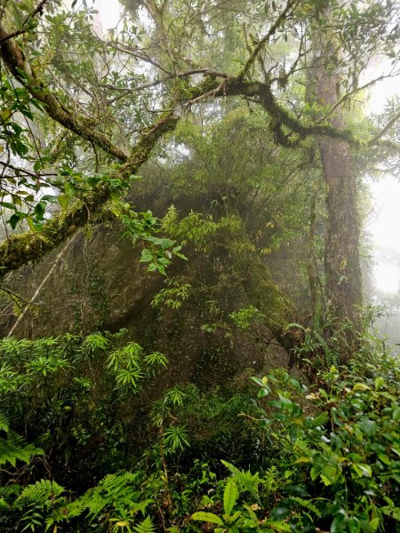 都蘭山-小百岳#93-台東縣東河鄉2779404
