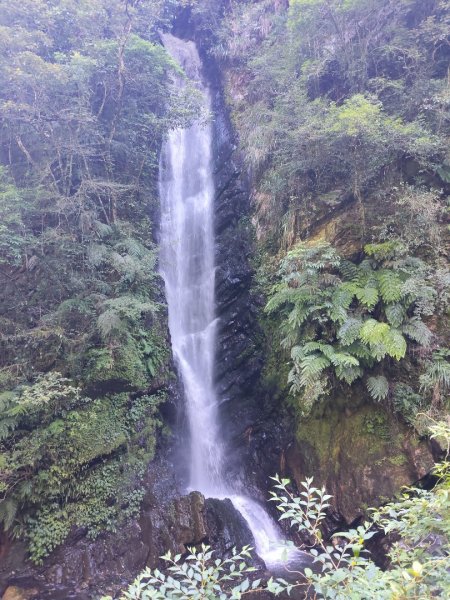 九寮溪自然步道2867201