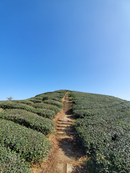 勇闖雲嘉五連峰821328