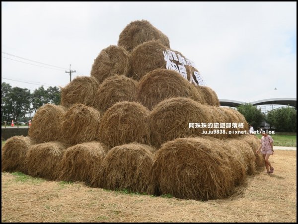 2019桃園農業博覽會693352