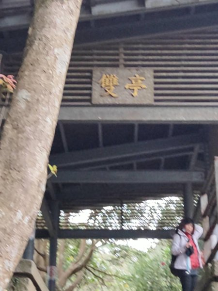 硬漢嶺步道2708603