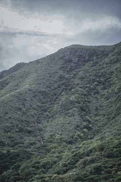 仙氣飄飄-無耳茶壺山1752137