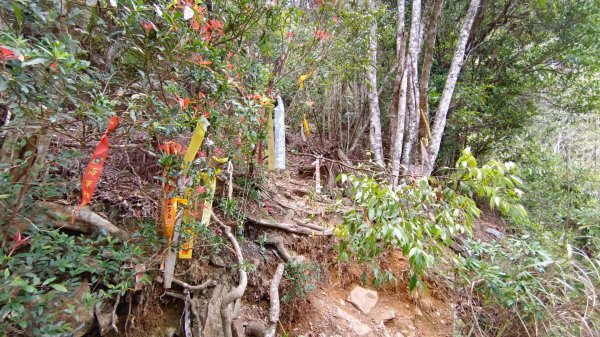 埔里六秀之3關刀山（順走關刀山西峰/西關刀山北峰）1644268