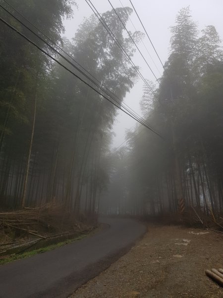 ~ 武岫農圃銀杏林觀景步道 ~722844