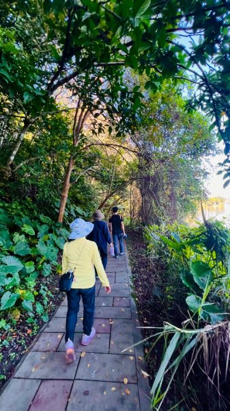生態環境豐富的仁山植物園 感受鑑湖秋月-梅花湖的魅力2953876