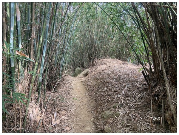 旗靈縱走(旗尾山、福美山、金字面山、人頭山、靈山)2996497