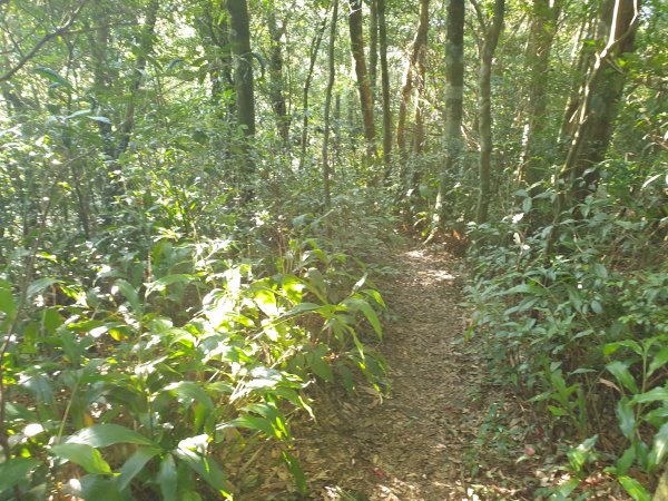 志繼山、東眼山、拉卡山1561241