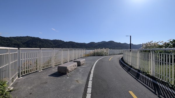 115.01.03山水步道-中庄吊橋-月眉落羽松之旅2977053