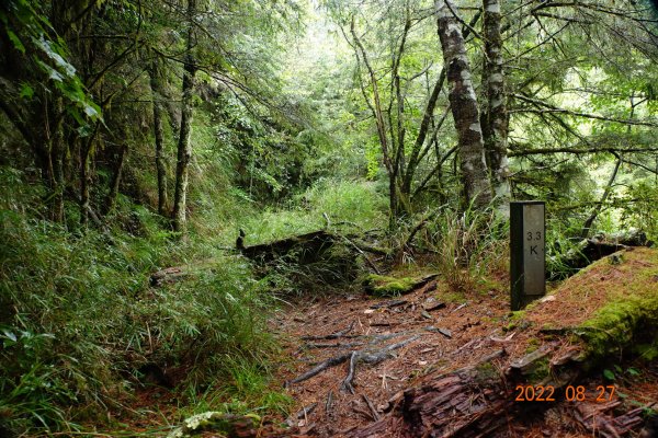 花蓮 秀林 畢祿山 (高遶-進；崩塌-出)1823083