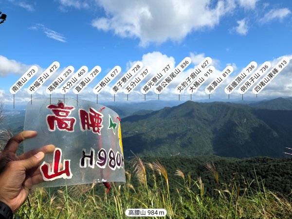 風和日麗來去烏來三山享受森林芬多精2984334