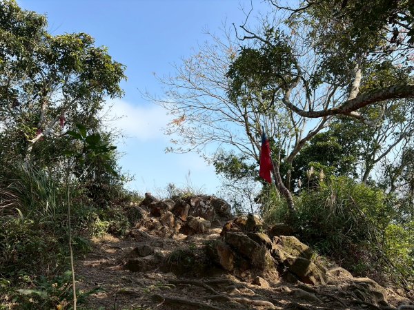 桃園 大溪 頭寮山3004510