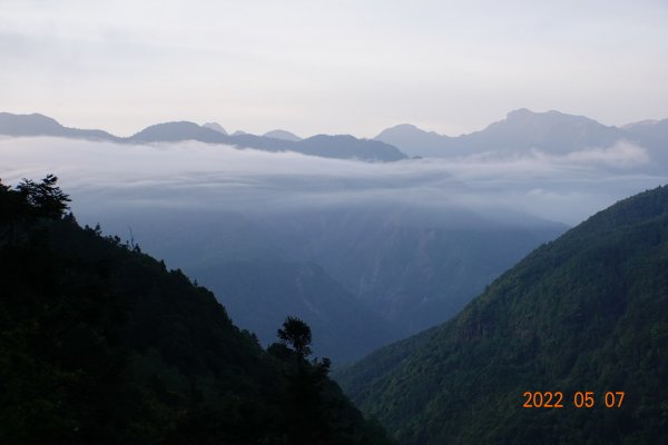 苗栗 泰安 結城山1706112