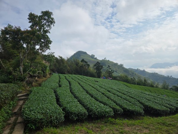 雲嘉六連峰（小百岳）2928000