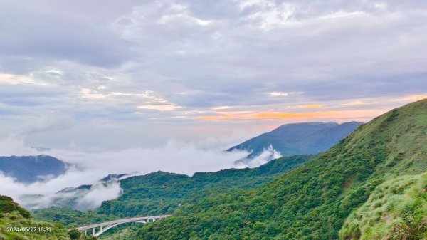 金山灣雨瀑+漁火點點，追花是簡單的快樂，賞花是恬淡的幸褔2513396