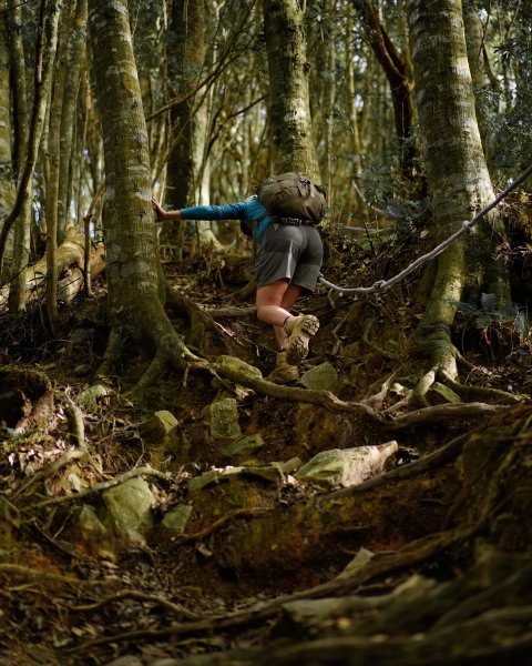 屋我尾山散步2669533