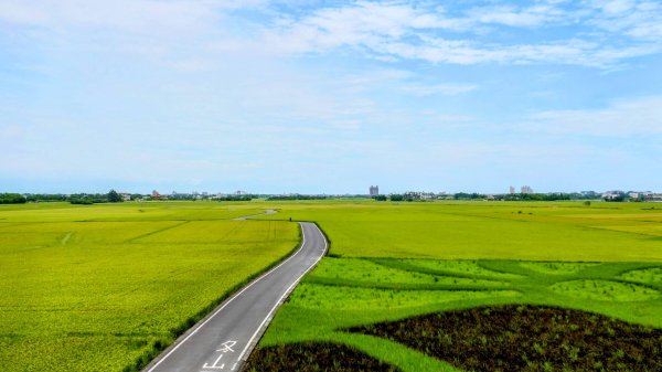 三奇美徑,52甲溼地2813337