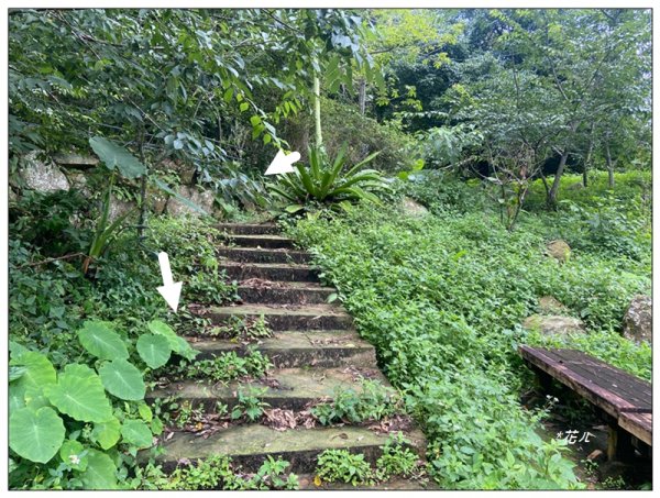 後棟仔山 O型路線2833456