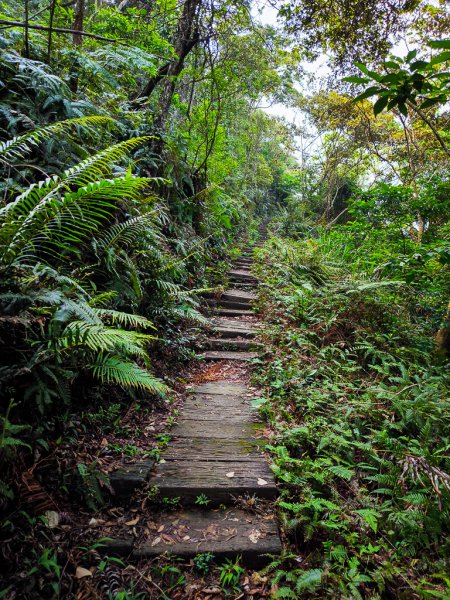 2025-04-27 三員縱走2772054