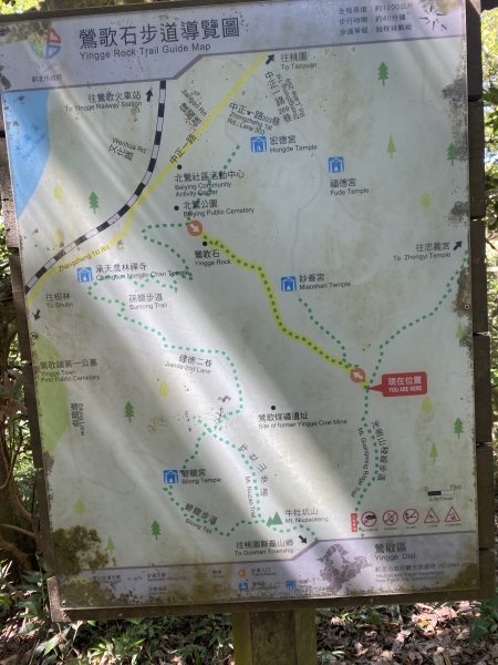 2025微笑山線大縱走尋寶集章任務-Ep.02【大棟山系】百年大榕樹2882277