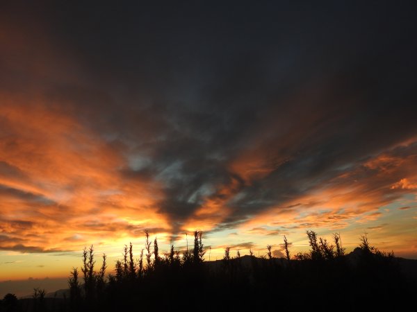 志佳陽大山 賞旭日雲彩 08/15-161072652