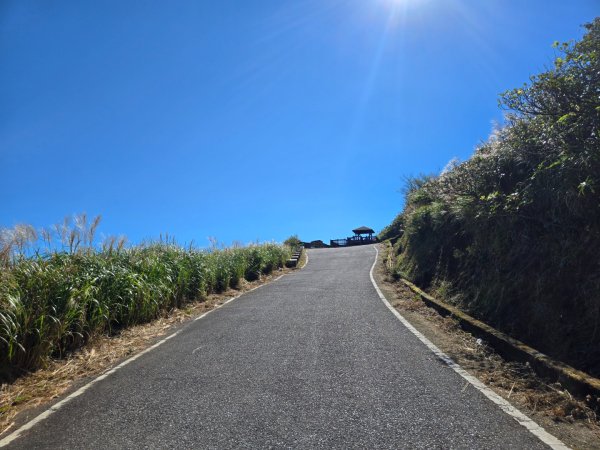 大屯主峰-連峰步道環形（小百岳）2904320