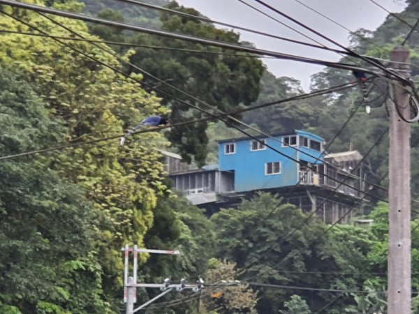 土城太極嶺，五城山，將軍嶺，文筆山，鶯歌石，牛灶坑山，龜公山，孫龍步道，二鬮山1654087