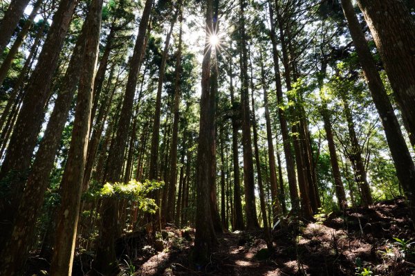 新竹 尖石 大混山、牛欄坑山、李崠山3058572