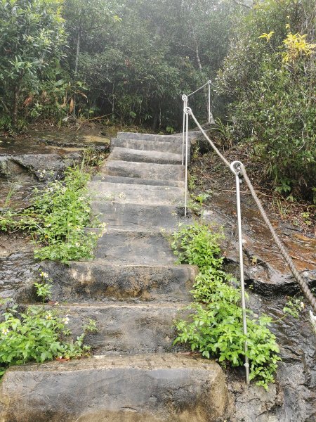 雨中漫步北部山岳-二格山、土庫岳、象山道1136694