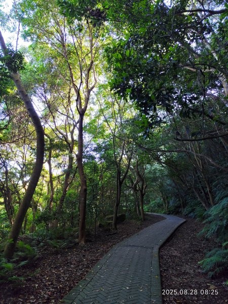 翠山步道、大崙頭尾山親山步道【臺北健走趣】2874301