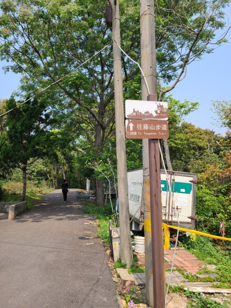 藤山步道之微熱山丘2751679