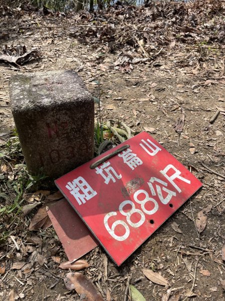 小格頭越嶺坪林2738366