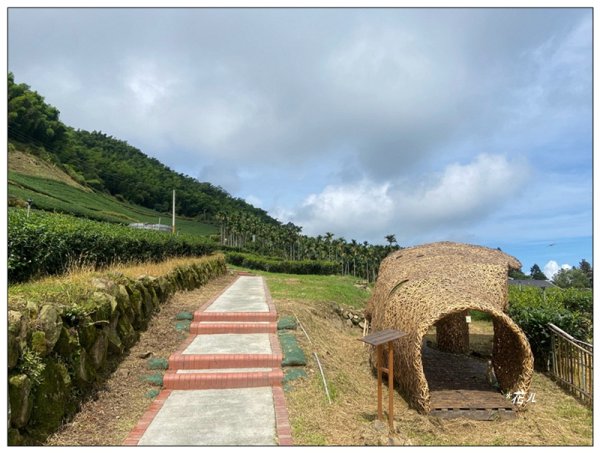 後棟仔山 O型路線2833438