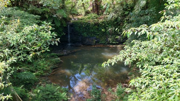 平溪區 東勢格越嶺古道-咸豐嶺古道-臭頭山-白石後仙洞O型2267798