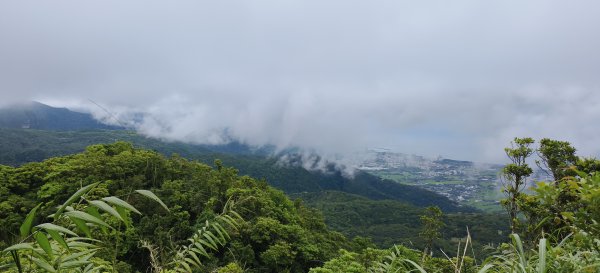 2026/04/24 鵲子山步道3043044